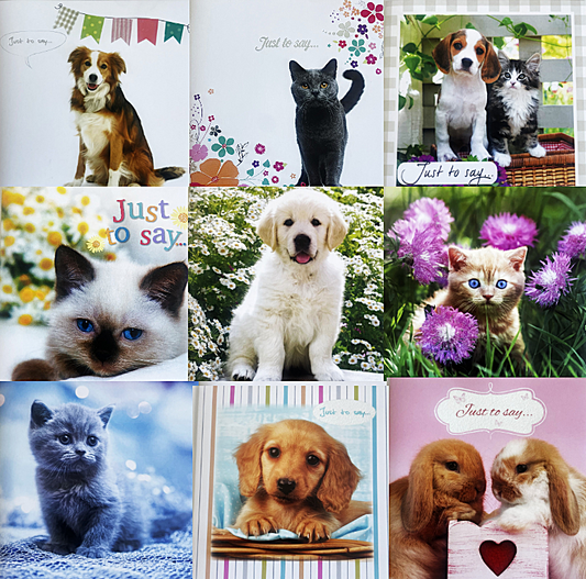 40 TARJETAS DE MASCOTAS