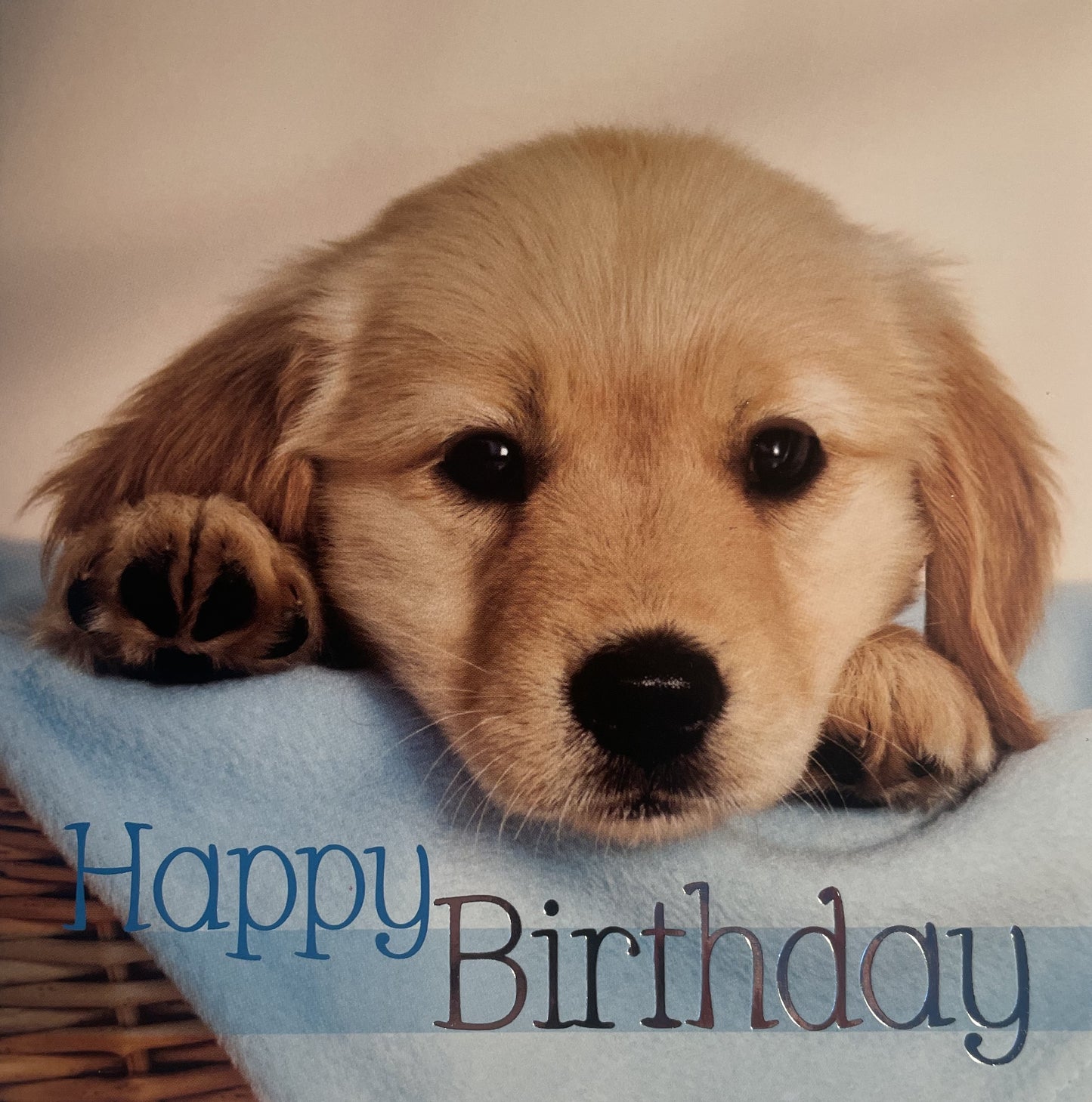 40 TARJETAS DE CUMPLEAÑOS EN INGLES