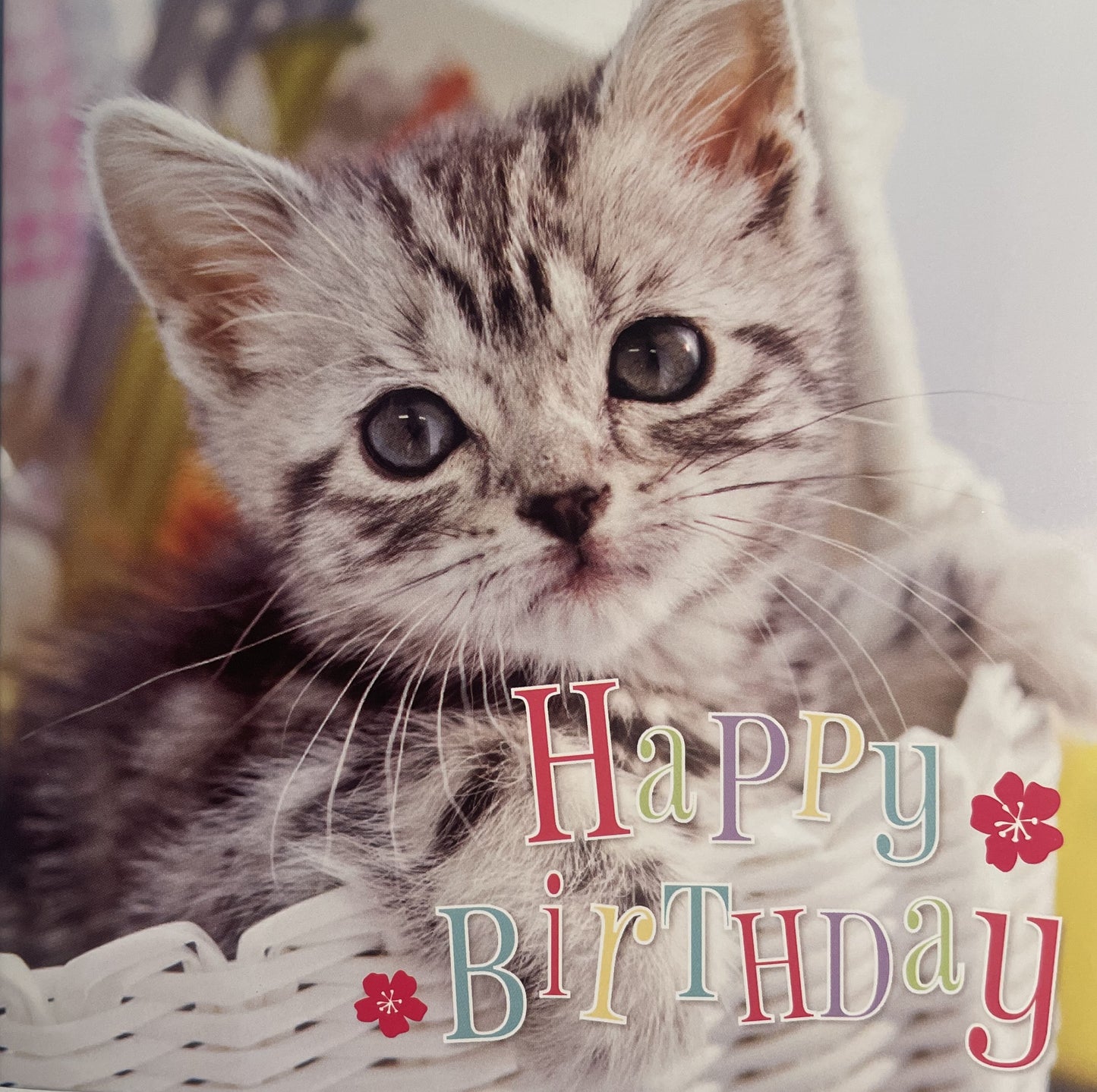 40 TARJETAS DE CUMPLEAÑOS EN INGLES