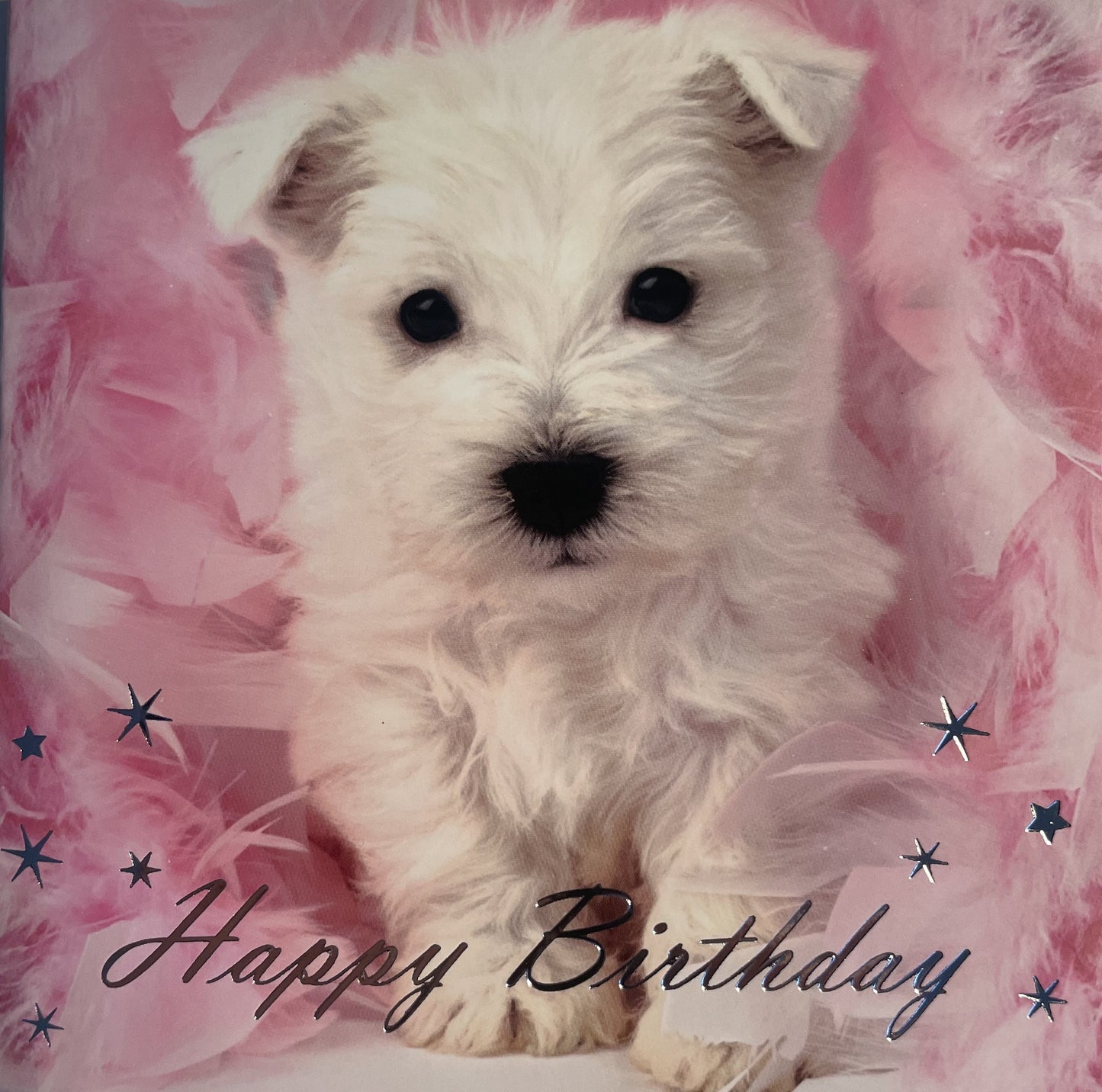 40 TARJETAS DE CUMPLEAÑOS EN INGLES