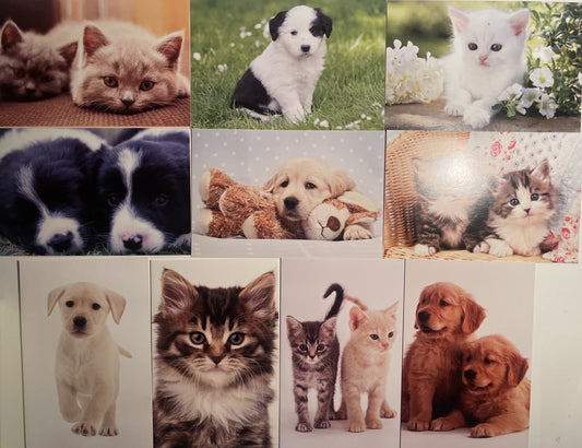 40 TARJETAS DE MASCOTAS (SIN PALABRAS)