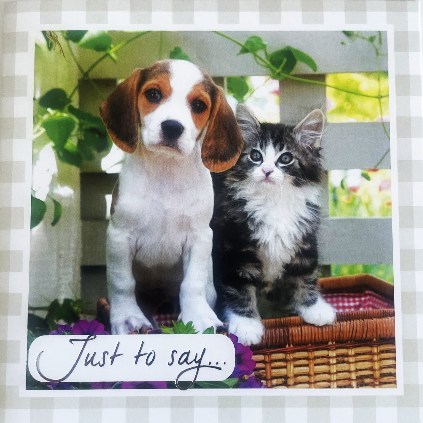 40 TARJETAS DE MASCOTAS