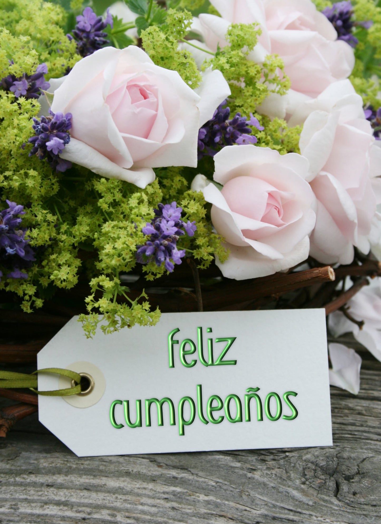 50 TARJETAS DE FELICITACIÓN EN ESPAÑOL